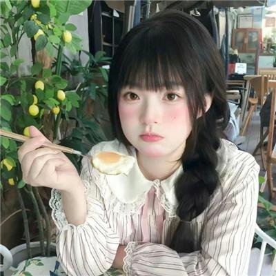 小野猫的公路历险记